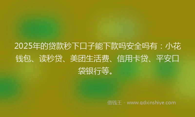 2025年的贷款秒下口子能下款吗安全吗有：小花钱包、读秒贷、美团生活费、信用卡贷、平安口袋银行等。