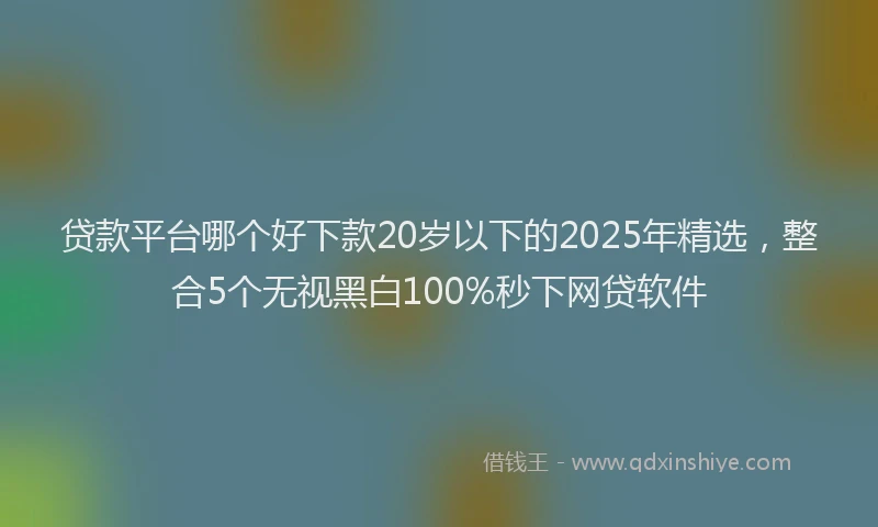 贷款平台哪个好下款20岁以下的2025年精选，整合5个无视黑白100%秒下网贷软件
