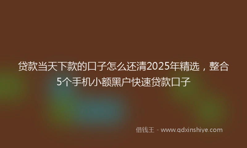 贷款当天下款的口子怎么还清2025年精选，整合5个手机小额黑户快速贷款口子