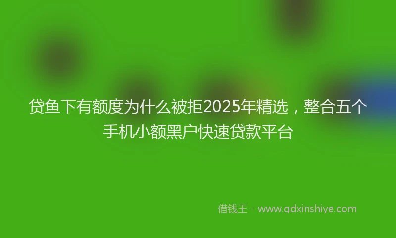 贷鱼下有额度为什么被拒2025年精选，整合五个手机小额黑户快速贷款平台