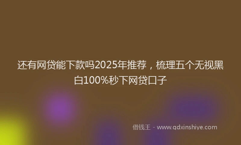 还有网贷能下款吗2025年推荐，梳理五个无视黑白100%秒下网贷口子