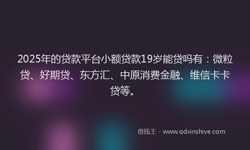 2025年的贷款平台小额贷款19岁能贷吗有：微粒贷、好期贷、东方汇、中原消费金融、维信卡卡贷等。