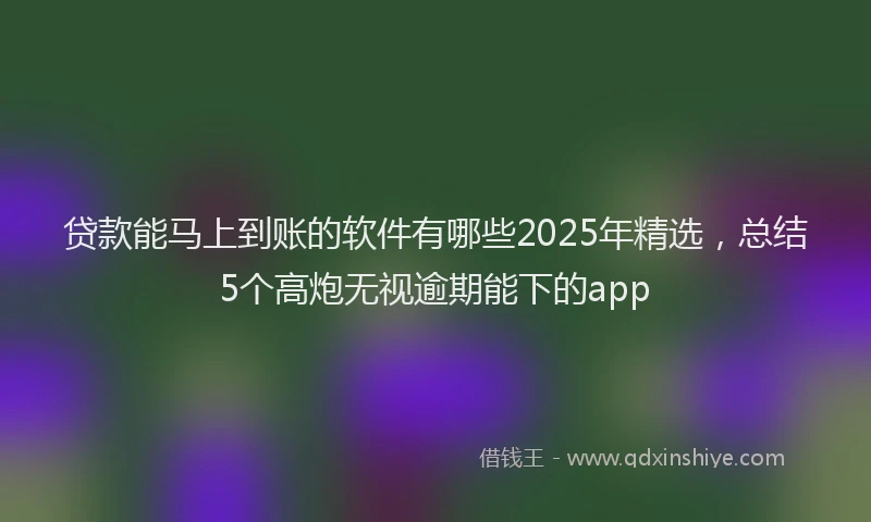 贷款能马上到账的软件有哪些2025年精选，总结5个高炮无视逾期能下的app