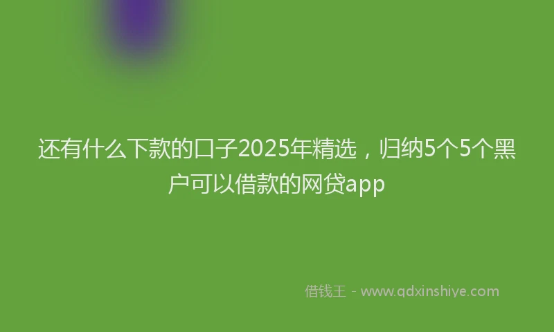 还有什么下款的口子2025年精选，归纳5个5个黑户可以借款的网贷app