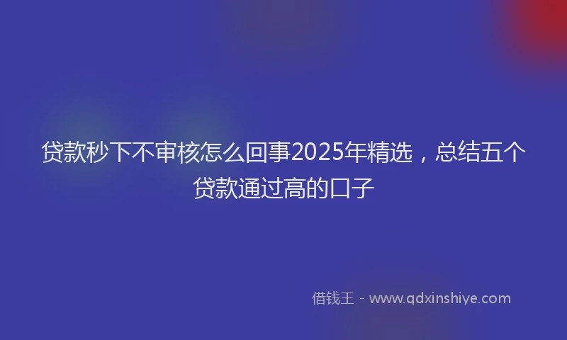 贷款秒下不审核怎么回事2025年精选，总结五个贷款通过高的口子