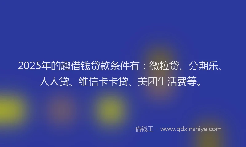2025年的趣借钱贷款条件有：微粒贷、分期乐、人人贷、维信卡卡贷、美团生活费等。