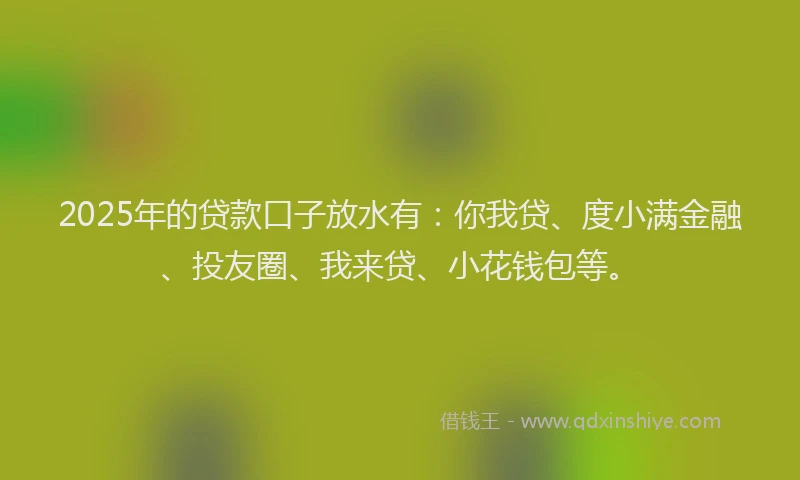 2025年的贷款口子放水有：你我贷、度小满金融、投友圈、我来贷、小花钱包等。
