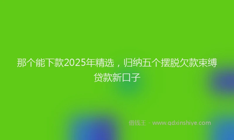 那个能下款2025年精选，归纳五个摆脱欠款束缚贷款新口子