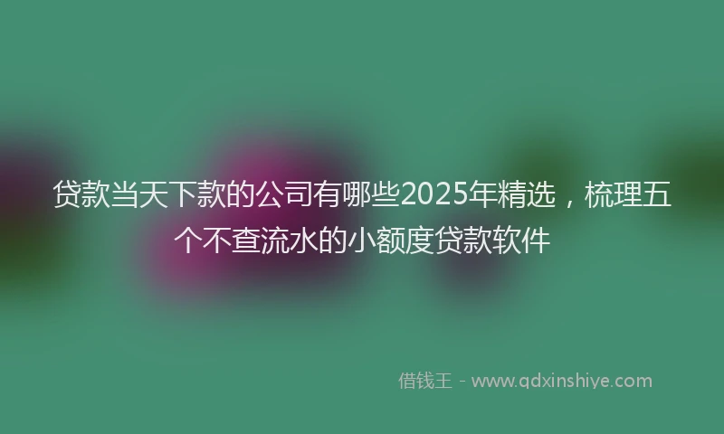 贷款当天下款的公司有哪些2025年精选，梳理五个不查流水的小额度贷款软件
