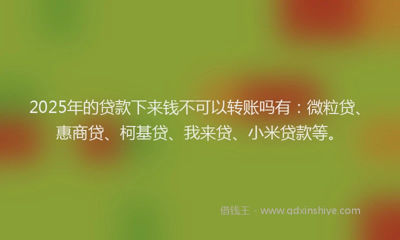 2025年的贷款下来钱不可以转账吗有：微粒贷、惠商贷、柯基贷、我来贷、小米贷款等。