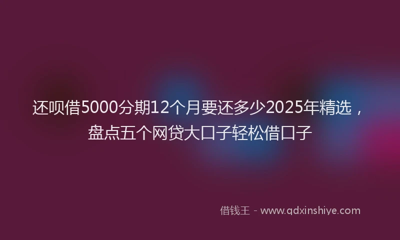 还呗借5000分期12个月要还多少2025年精选，盘点五个网贷大口子轻松借口子