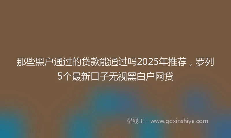 那些黑户通过的贷款能通过吗2025年推荐，罗列5个最新口子无视黑白户网贷