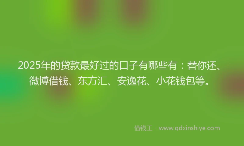 2025年的贷款最好过的口子有哪些有：替你还、微博借钱、东方汇、安逸花、小花钱包等。