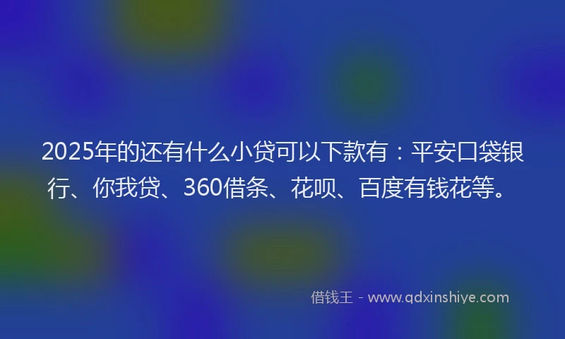 2025年的还有什么小贷可以下款有：平安口袋银行、你我贷、360借条、花呗、百度有钱花等。