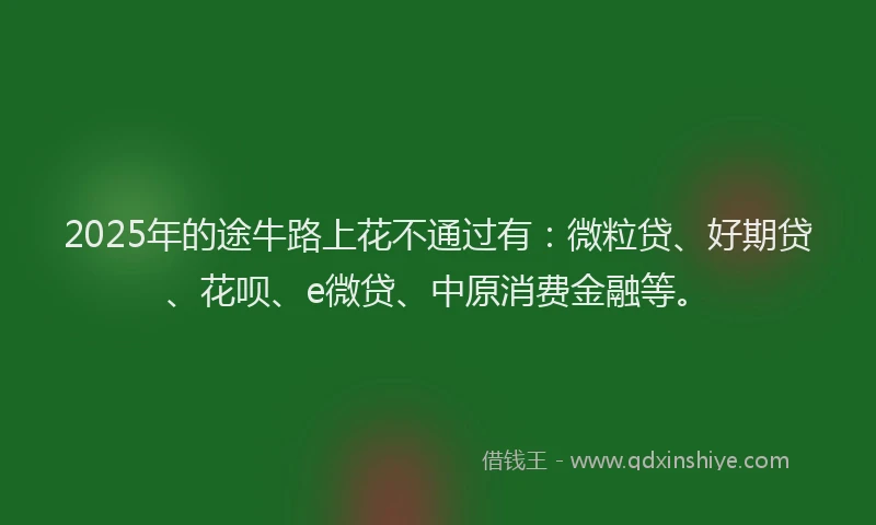 2025年的途牛路上花不通过有：微粒贷、好期贷、花呗、e微贷、中原消费金融等。