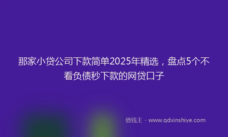 那家小贷公司下款简单2025年精选，盘点5个不看负债秒下款的网贷口子