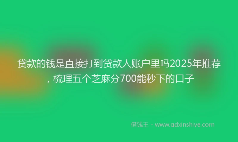 贷款的钱是直接打到贷款人账户里吗2025年推荐，梳理五个芝麻分700能秒下的口子