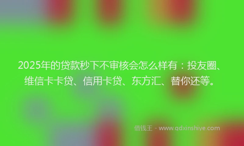 2025年的贷款秒下不审核会怎么样有：投友圈、维信卡卡贷、信用卡贷、东方汇、替你还等。