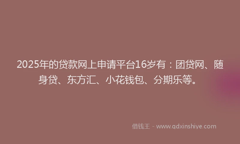 2025年的贷款网上申请平台16岁有：团贷网、随身贷、东方汇、小花钱包、分期乐等。