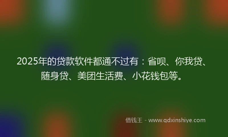 2025年的贷款软件都通不过有：省呗、你我贷、随身贷、美团生活费、小花钱包等。