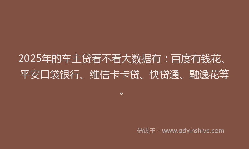 2025年的车主贷看不看大数据有：百度有钱花、平安口袋银行、维信卡卡贷、快贷通、融逸花等。