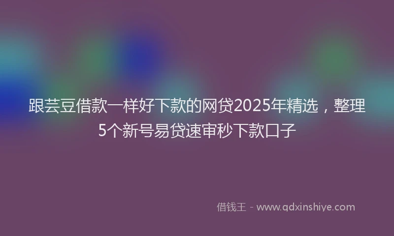 跟芸豆借款一样好下款的网贷2025年精选，整理5个新号易贷速审秒下款口子