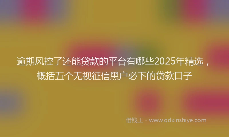 逾期风控了还能贷款的平台有哪些2025年精选，概括五个无视征信黑户必下的贷款口子