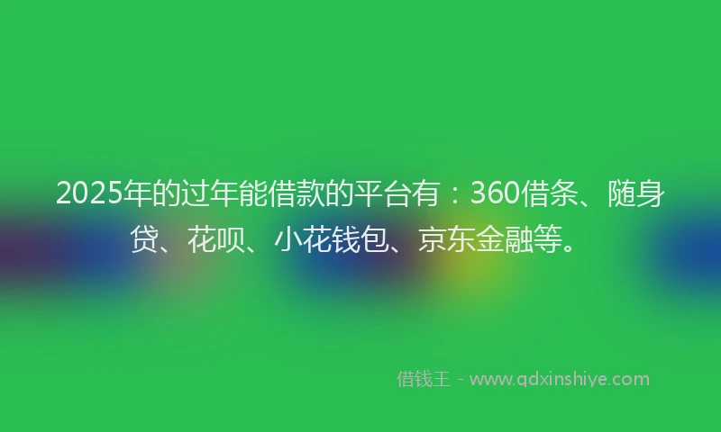 2025年的过年能借款的平台有：360借条、随身贷、花呗、小花钱包、京东金融等。