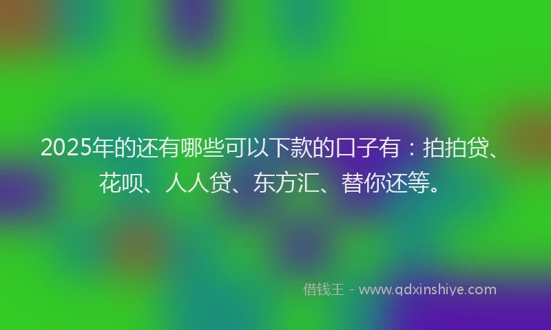 2025年的还有哪些可以下款的口子有：拍拍贷、花呗、人人贷、东方汇、替你还等。