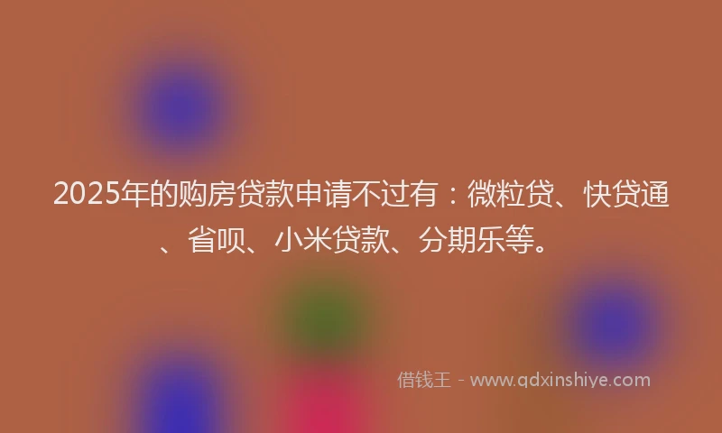 2025年的购房贷款申请不过有：微粒贷、快贷通、省呗、小米贷款、分期乐等。