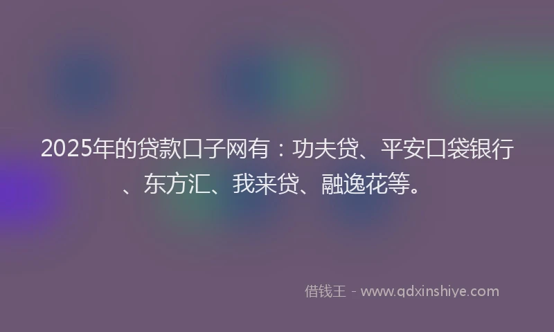 2025年的贷款口子网有：功夫贷、平安口袋银行、东方汇、我来贷、融逸花等。