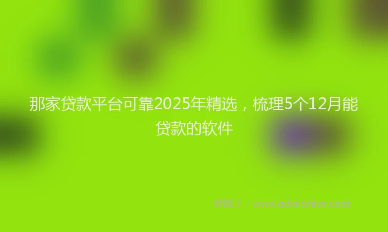 那家贷款平台可靠2025年精选，梳理5个12月能贷款的软件