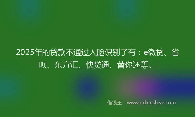 2025年的贷款不通过人脸识别了有：e微贷、省呗、东方汇、快贷通、替你还等。