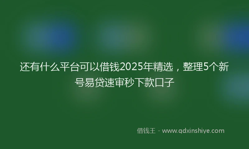 还有什么平台可以借钱2025年精选，整理5个新号易贷速审秒下款口子