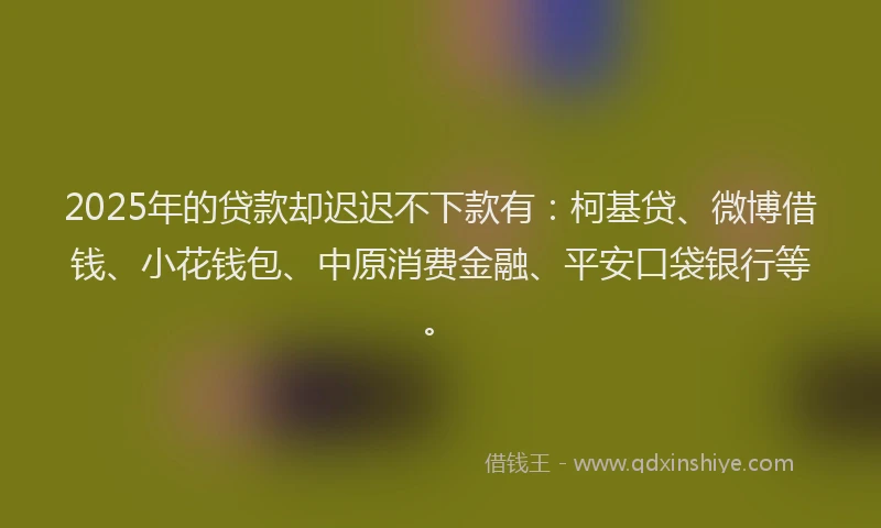 2025年的贷款却迟迟不下款有：柯基贷、微博借钱、小花钱包、中原消费金融、平安口袋银行等。