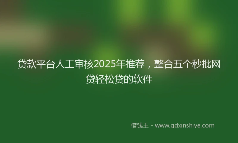 贷款平台人工审核2025年推荐，整合五个秒批网贷轻松贷的软件