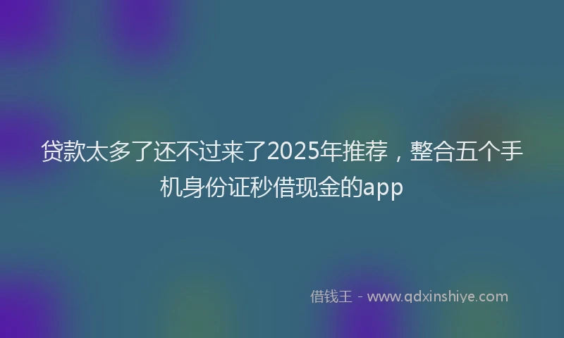 贷款太多了还不过来了2025年推荐，整合五个手机身份证秒借现金的app