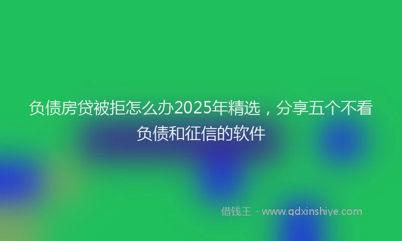 负债房贷被拒怎么办2025年精选，分享五个不看负债和征信的软件
