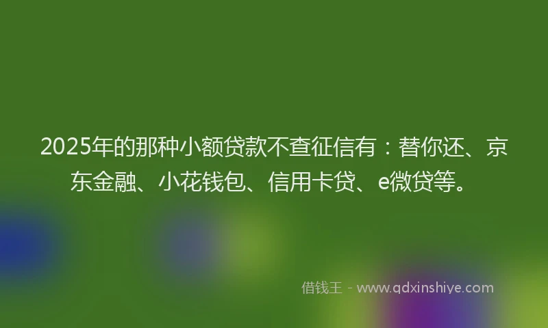 2025年的那种小额贷款不查征信有：替你还、京东金融、小花钱包、信用卡贷、e微贷等。