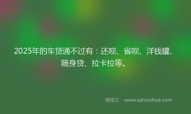 2025年的车贷通不过有：还呗、省呗、洋钱罐、随身贷、拉卡拉等。