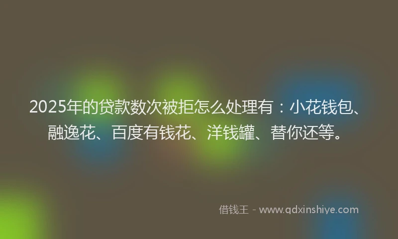 2025年的贷款数次被拒怎么处理有：小花钱包、融逸花、百度有钱花、洋钱罐、替你还等。