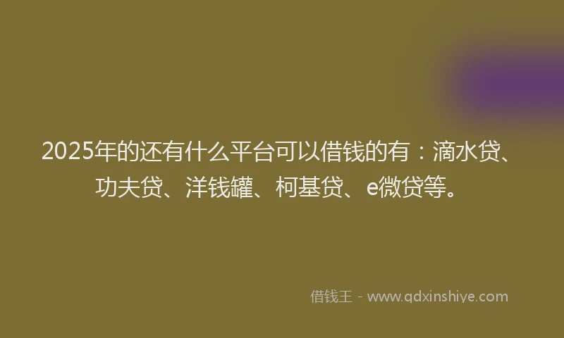 2025年的还有什么平台可以借钱的有：滴水贷、功夫贷、洋钱罐、柯基贷、e微贷等。