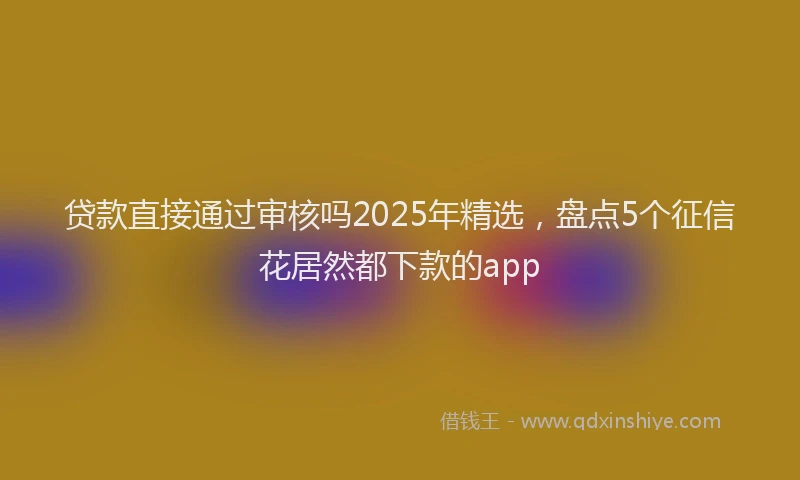 贷款直接通过审核吗2025年精选，盘点5个征信花居然都下款的app