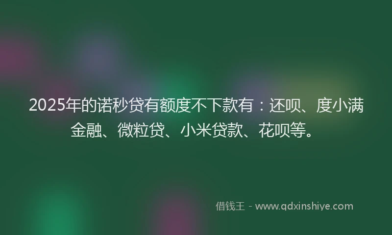 2025年的诺秒贷有额度不下款有：还呗、度小满金融、微粒贷、小米贷款、花呗等。
