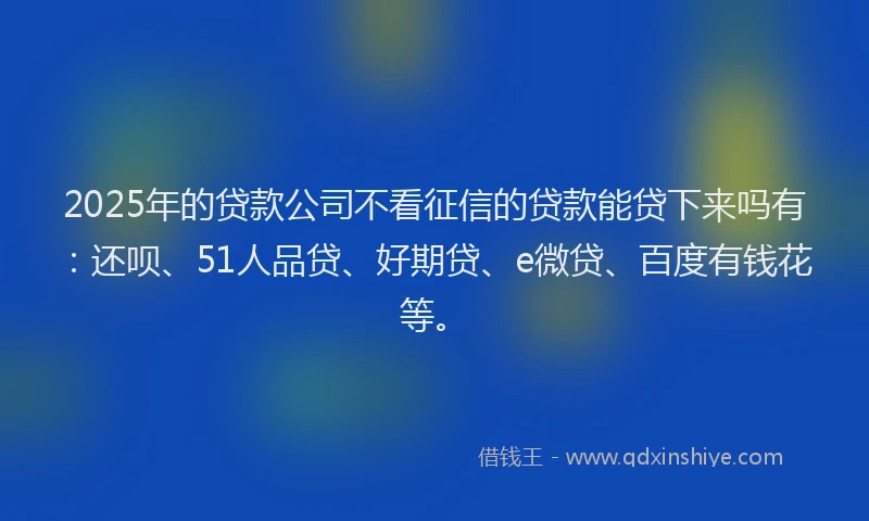 2025年的贷款公司不看征信的贷款能贷下来吗有：还呗、51人品贷、好期贷、e微贷、百度有钱花等。