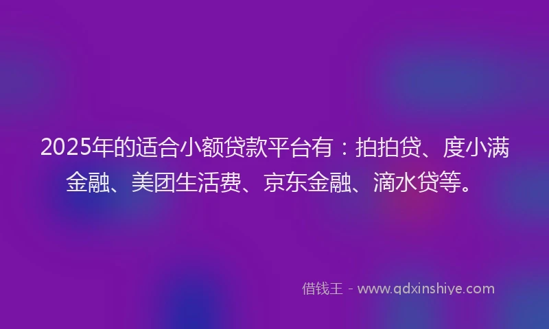 2025年的适合小额贷款平台有：拍拍贷、度小满金融、美团生活费、京东金融、滴水贷等。