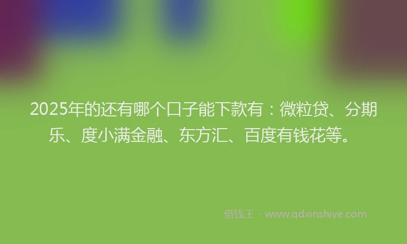 2025年的还有哪个口子能下款有：微粒贷、分期乐、度小满金融、东方汇、百度有钱花等。
