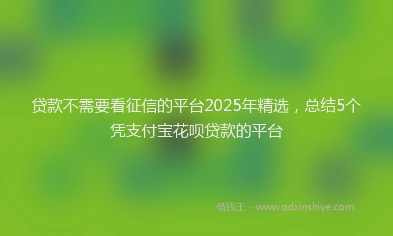 贷款不需要看征信的平台2025年精选，总结5个凭支付宝花呗贷款的平台