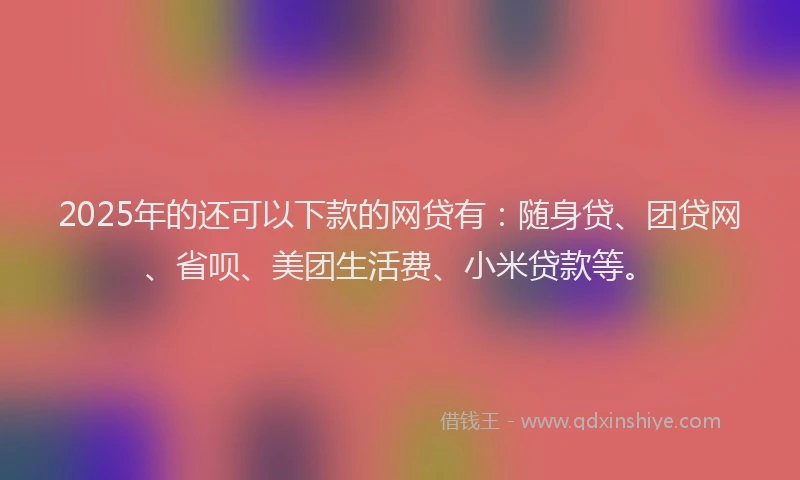 2025年的还可以下款的网贷有：随身贷、团贷网、省呗、美团生活费、小米贷款等。