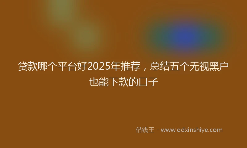 贷款哪个平台好2025年推荐，总结五个无视黑户也能下款的口子